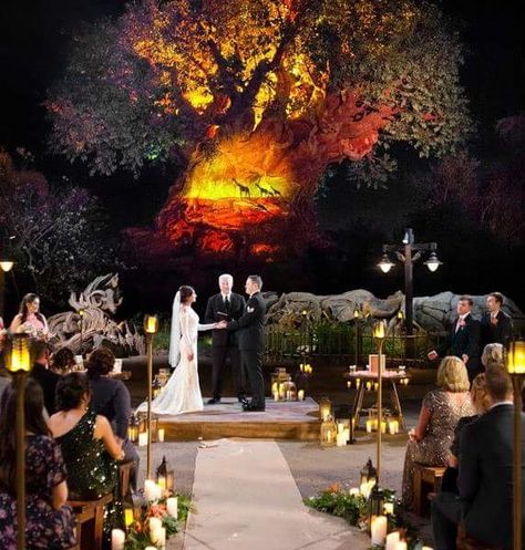 Lion King Wedding, Disney Wedding Venue, Disney World Wedding, Orlando Wedding Venues, Disney Weddings, Romantic Wedding Inspiration, Disney Fairy Tale Weddings, Wedding Inside, Wedding Officiant