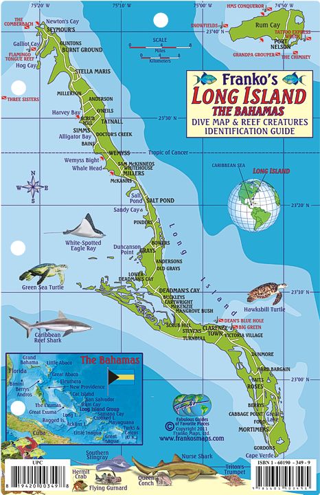 1814-34-Long Island Bahamas Map & Fish ID Card Long Island Bahamas, Bahamas Map, Costa Rica Map, Midway Islands, Exuma Island, Fish Card, Great Exuma, Jamaica Map, Fishing Cards