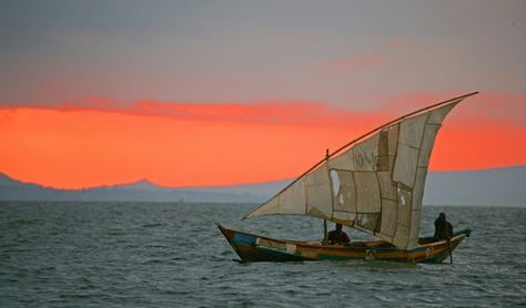 Discover the Rich Fish and Bird Life at Lake Victoria, Kenya Lake Victoria, Old Fisherman, Kanyakumari, Tanzania Africa, Safari Lodge, Tall Ships, Island Beach, East Africa, Indian Ocean