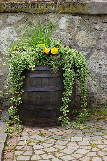 Barrel Garden Ideas, Wine Barrel Garden, Barrel Flowers, Wine Barrel Planter, Pond Landscape, Plants Landscape, Pictures Of Flowers, Barrel Ideas, Barrel Decor