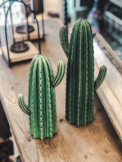 Cactus Clay, Cactus Sculpture, Ceramic Cactus, Cactus Ceramic, Ceramica Ideas, Pottery Ornaments, Housewarming Decorations, Diy Pottery Painting, Pottery Projects