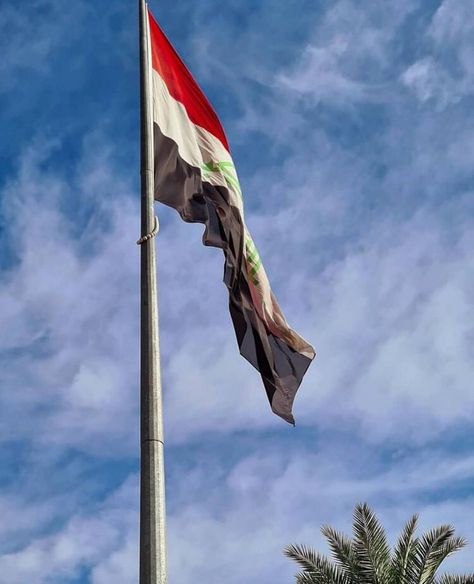 Iraqi Flag, Iraq Flag, Bad Girl Wallpaper, Baghdad, National Day, Girl Wallpaper, Iraq, Bad Girl, Wind Sock