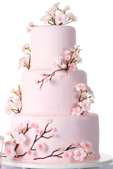 Beautiful cherry blossom wedding cake (: Cherry Blossom Wedding Bouquet, Cherry Blossom Wedding Cake, Cherry Blossom Party, Cherry Blossom Cake, Cherry Blossom Wedding, Tiered Cake, Wedding Cake Inspiration, Beautiful Wedding Cakes, Gorgeous Cakes