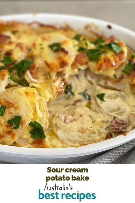 Take your potato bake game to the next level with our mouth-watering sour cream potato bake. Potato Bake With Sour Cream, Sour Cream And Potato Recipes, Sour Cream Potato Bake, Potato And Sour Cream Recipes, Potato Sour Cream Recipes, Creamy Potato Bake, Cheesy Potato Bake, Sour Cream Potatoes, Potatoes In Oven