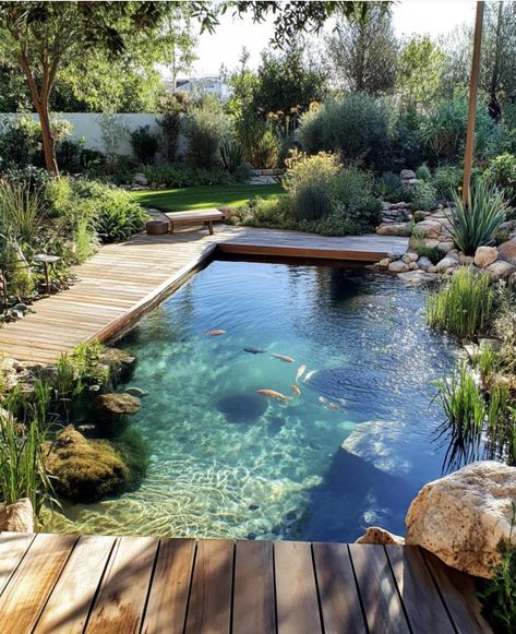 Natural Swimming Ponds, Garden Pond Design, Dream Life House, Swimming Pond, Natural Pond, Natural Swimming Pools, Natural Swimming Pool, Pond Design, Dream Pools