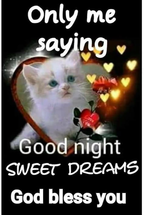 Best Good Night Quotes, Best Good Night, Good Night Cards, Good Night Cat, Good Night Prayer Quotes, Images Emoji, Beautiful Good Night Quotes, Good Night Love Quotes, Good Night Beautiful