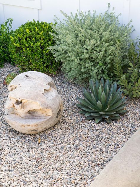 Xeriscape Landscaping, Oasis Backyard, Arizona Backyard, Gravel Landscaping, Side Yard Landscaping, Drought Tolerant Garden, Backyard Oasis Ideas, Backyard Beach, Mediterranean Landscaping