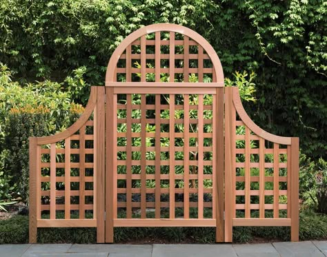 Create Privacy In Backyard, Privacy In Backyard, Cedar Trellis, Garage Pergola, Arbors Trellis, Trellis Ideas, Wooden Trellis, Cheap Pergola, Pergola Swing