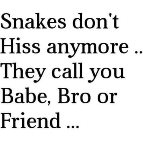 Snakes don't hiss anymore.. they call you babe, bro or friend Fake Ppl Quotes, Fake Friends Quotes Betrayal, Snake Quotes, Fake Friend Quotes, Fake People Quotes, Dale Carnegie, Badass Quotes, Oscar Wilde, People Quotes