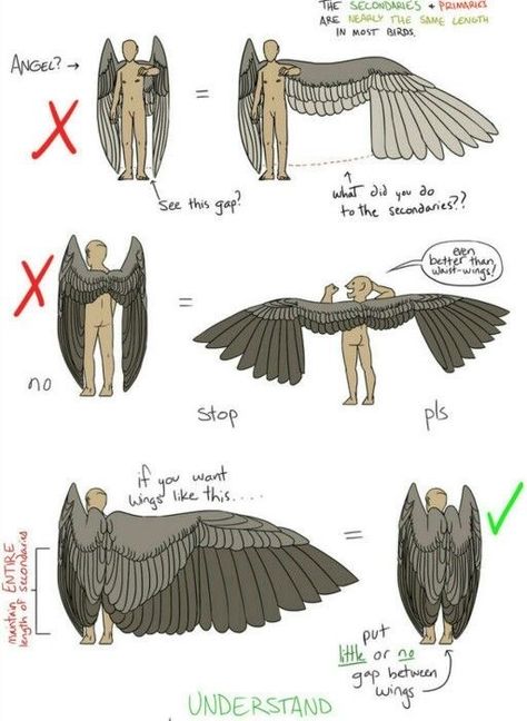 Winged People Drawing Reference Pose, Tail Bag Drawing, Wing Poses Reference, Winged People, Wings Drawing, Wings Art, Have Inspiration, Concept Art Drawing, Arte Sketchbook