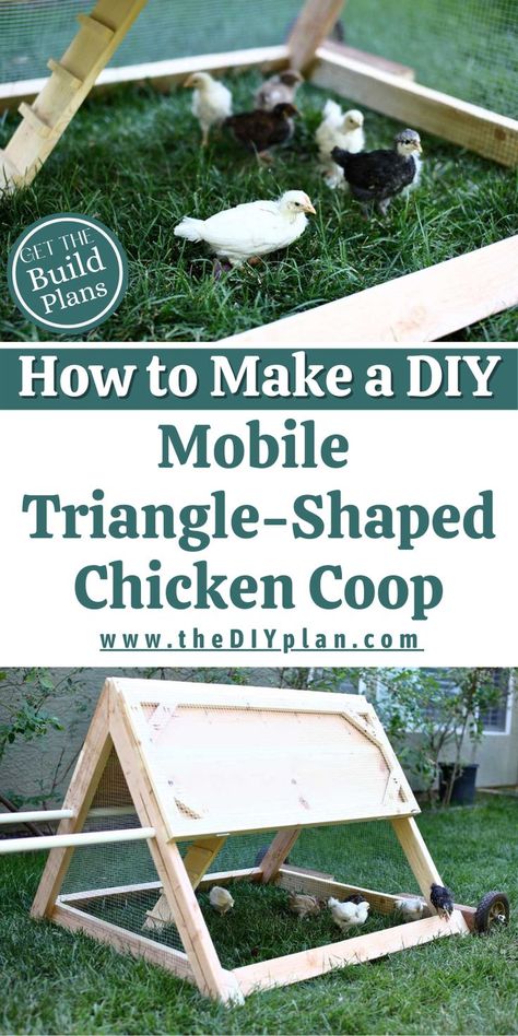 DIY Mobile Triangle-Shaped Chicken Coop. Visit our website for instructions on how to make this simple and Mobile Triangle-Shaped Chicken Coop that is perfect for two or three adult chickens in a small backyard. It keeps them in one place, yet it could be moved around. Protecting your garden and areas you care about. #chickencoop #diyhomedecor #backyardgarden #buildplans #farmhouseproject #woodproject #woodworking #buildplans #farmhouse #carpentrydiy #outdoorproject #homeimprovement Triangle Chicken Coop, Mobile Chicken Coop, Diy Mobile, Diy Chicken Coop, Chicken Diy, Wood Project, Blogger Design, Diy Closet, Let's Have Fun