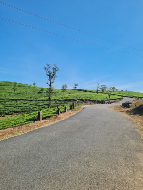 Vagamon, sometimes spelled Wagamon, is a hill station in Kerala. It's known for tea plantations, rolling hills, and idyllic narrow roads. Vagamon Kerala, Kerala Travel, Munnar, Contemporary Art Painting, Hill Station, A Hill, Rolling Hills, South India, Kerala