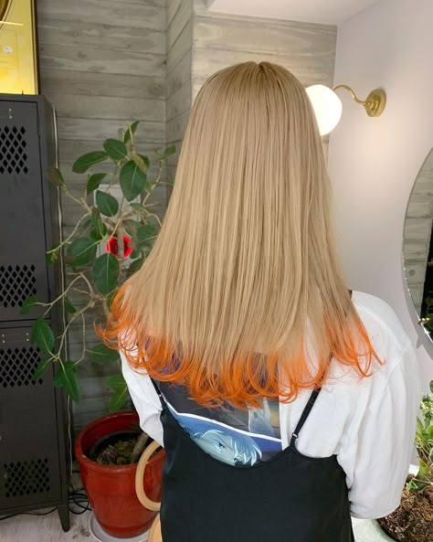 Fox Tail Hair Dye, Fox Tail Hair, Ash Brown Hair, Hair Style Korea, High Hair, Tail Hair, Fox Tail, Dyed Hair Inspiration, Hair Arrange