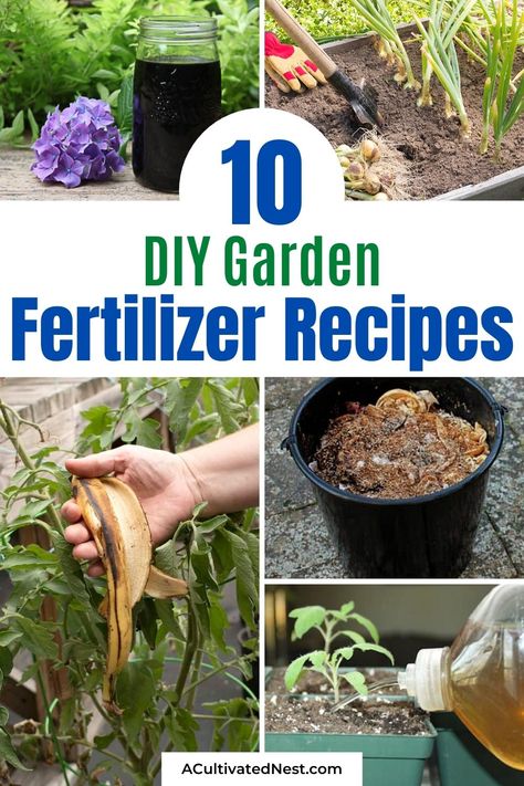 10 Best Homemade Plant Fertilizers- These 10 homemade plant fertilizers will have your garden in the best shape ever. These DIY fertilizers are perfect for all kinds of veggies! | DIY gardening products, #gardeningTips #garden #diyGarden #DIY #ACultivatedNest Diy Liquid Fertilizer For Vegetable Garden, Diy Tomato Fertilizer, Homemade Fertilizer For Vegetables, Diy Organic Fertilizer, Diy Plant Food For Vegetables, Diy Plant Nutrients, How To Make Fertilizer For Plants, Plant Fertilizer Guide, Natural Fertilizer For Vegetable Garden