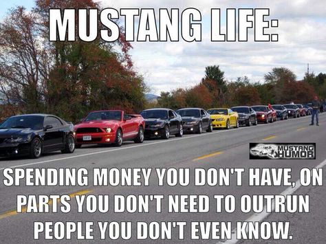 Mustang life Mustang Meme, Mustang Humor, Chevy Memes, Ford Humor, 2018 Mustang Gt, Ford Jokes, Truck Memes, Funny Car Memes, Fox Body Mustang