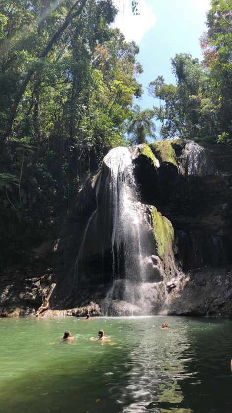 Gozalandia Falls Puerto Rico, Puerto Rico Nature, Puerto Rico Rain Forest, Gozalandia Waterfall, Manifest Vacation, Puerto Rico Waterfalls, Puerto Rico Living, Camuy Puerto Rico, Culebra Puerto Rico