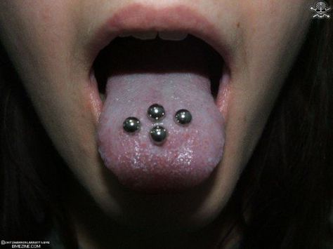 Back Piercing, Tongue Piercings, Back Piercings, Types Of Piercings, Tongue Piercing, Body Mods, Paw Print Tattoo, Body Jewelry, How Many