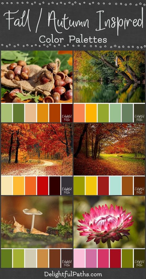 fall autumn inspired color palettes Color Palette From Image, Color Catalog, Palette Design, Color Schemes Colour Palettes, Palette Ideas, Autumn Inspired, 카드 디자인, Fall Color Palette, Color Palate