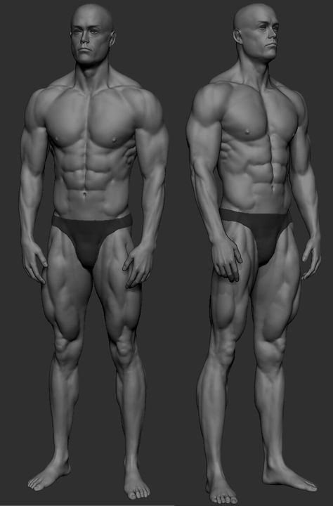 ArtStation - man, max zin Drawing Reference Muscles, Deltoid Reference, Male Arm Muscle Reference, Muscular Man Anatomy Drawing, Buff Male Anatomy, Muscular Torso Reference, Muscular Man Anatomy, Bodybuilder Pose Reference, Buff Guy Pose