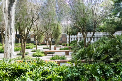 Public Garden Architecture, Tropical Landscape Design, Jungle Gardens, Dry Garden, Landscape And Urbanism, Landscape Plan, Garden Architecture, Green City, Public Garden