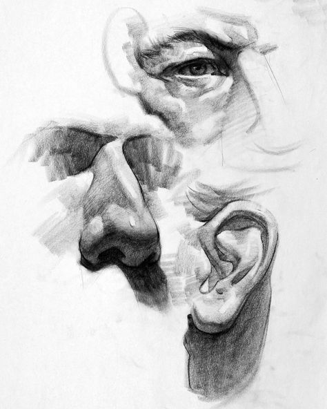 ArtStation - Facial Feature Studies, Stan Prokopenko Feature Drawing, Study Drawing, Drawing Study, Human Anatomy Drawing, Human Figure Drawing, Drawing Heads, Sketch Pencil, Human Drawing, Anatomy Sketches