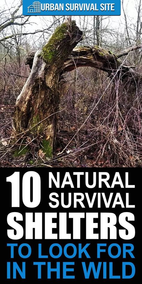 10 Natural Survival Shelters To Look For In The Wild List Of Priorities, Wilderness Survival Shelter, Survival Skills Emergency Preparedness, Off Grid Survival, Bushcraft Shelter, Survival Skills Life Hacks, Survival Quotes, Survival Life Hacks, Survival Shelter