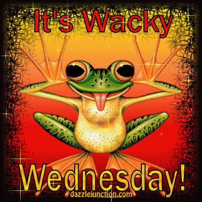 Wednesday Memes, Wednesday Hump Day, Wednesday Greetings, Hump Day Humor, Funny Good Morning, Morning Wednesday, Wednesday Humor, Wacky Wednesday, Good Morning Wednesday