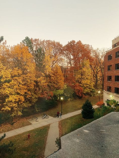 University Of Rochester Aesthetic, Dorm Room University, Fall View, Susan B Anthony, University Of Rochester, Life Vision, Dorm Room, University, Quick Saves