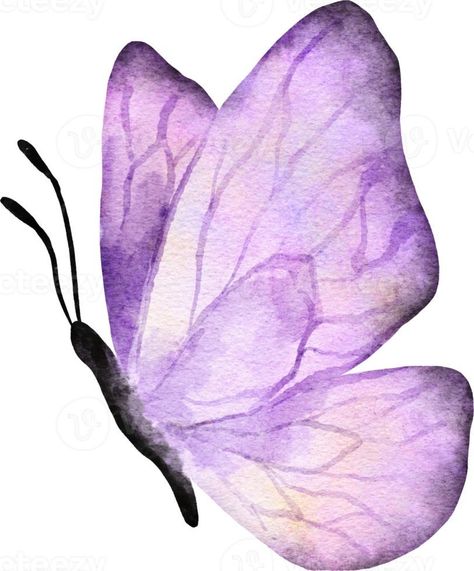 watercolopainting #butterflyart #watercolorbu Easy Butterfly Watercolor, Small Butterfly Painting, Painting Ideas Butterfly, Butterfly Watercolor Painting, Painting Clipart, Watercolor Butterfly Tattoo, Watercolor Painting Easy, Watercolor Painting Ideas, Simple Butterfly