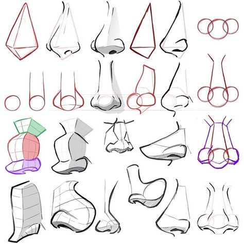 Cartoon Noses, Mitch Leeuwe, Patreon Art, رسم كاريكاتير, Nose Drawing, Anatomy Sketches, Drawing Studies, Caricature Drawing, Anatomy Drawing