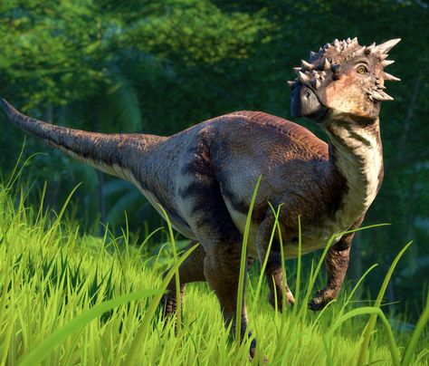 Dracorex | Jurassic World Evolution Wiki | FANDOM powered by Wikia Dinosaur Statue, Dinosaur Stuff, Jurassic World Evolution, Dinosaur Exhibition, J Park, Dino Park, Dinosaur Dinosaur, Prehistoric Wildlife, Largest Dinosaur