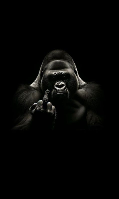 Black Monkey Wallpaper, Hilarious Wallpapers Iphone, Gorilla Wallpaper, Cool Lock Screen Wallpaper, Black Monkey, Hot Wheels Room, Iphone Wallpaper Texture, Gorillas Art, Africa Art Design