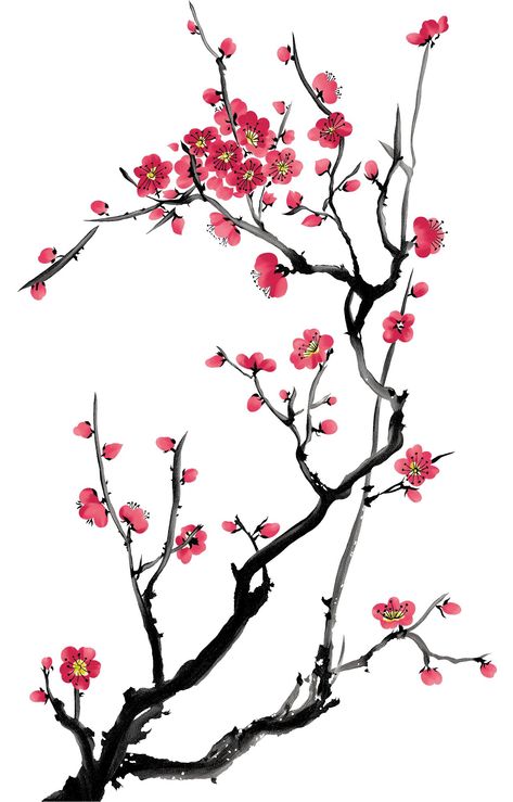 Chinese Cherry Blossom, Cherry Blossom Drawing, China Flowers, Cherry Blossom Painting, Draw Flowers, Chinese Art Painting, Png Flower, Cherry Blossom Art, Chinese Brush Painting