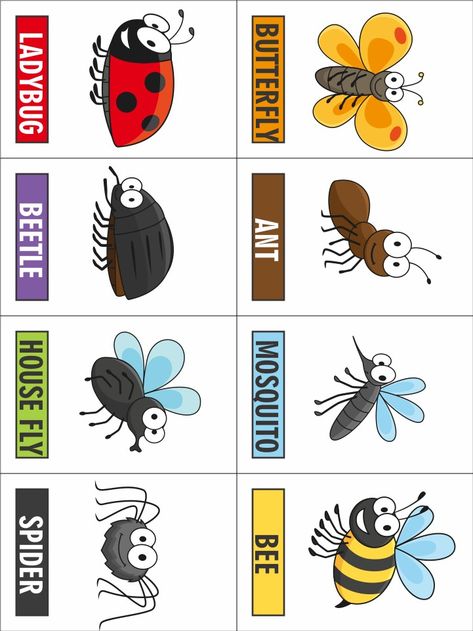 Our Printable Bug Game can be used to play a game of Concentration or Go Catch A Bug. It;s a fun variation on some old favorites. Bug Games, Bug Activities, Insects Preschool, Bugs Preschool, Insect Activities, Insect Crafts, Insects Theme, Happy Camp, Bug Crafts