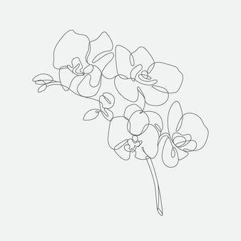 Jasmine Flower Line Art, Orchid Line Art, Orchid Doodle, Orchid Line Drawing, Fine Line Orchid Tattoo, 16 Tattoo, Orchid Tattoo, X Tattoo, Line Art Flowers