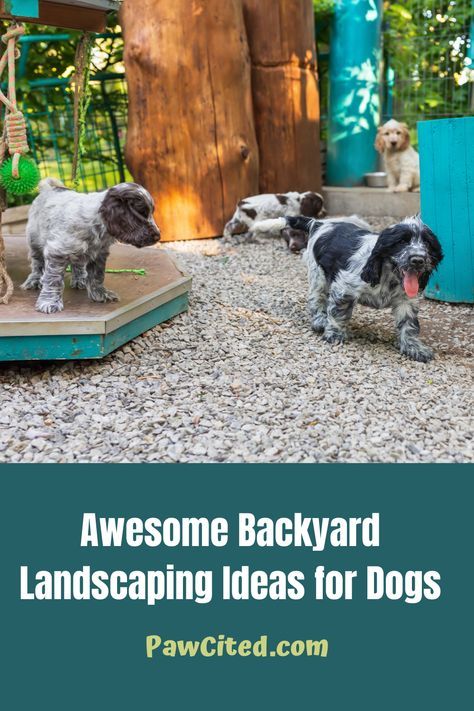 Backyard Play Area For Dogs, Dog Paradise Backyard, Outside Dog Play Area Backyard Ideas, Doggie Area In Backyard, Backyard For Dogs Play Areas, Backyard Playground For Dogs, Backyard Landscaping With Dog Area, Outdoor Dog Toys Play Areas, Pea Gravel Backyard Dogs