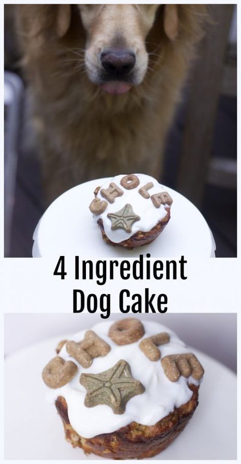 Impossibly Easy Four Ingredient Dog Cake for One Homemade Dog Friendly Cakes Dog Cake Recipe Grain Free, Dog Friendly Cake, Dog Birthday Cake Recipe, Dog Cake Recipes, Cake Dog, Dog Biscuit Recipes, Dog Birthday Cake, Dog Bakery, Dog Cakes