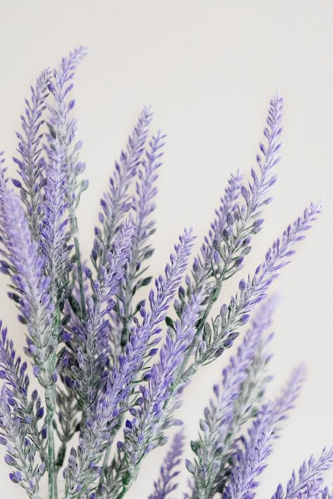 Lavender bridal bouquet