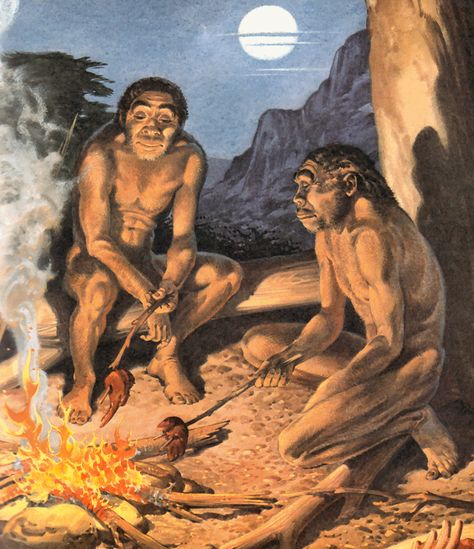 Topic: Ancient World; The Paleolithic Age or most likely known as the Old Stone Age involves the lifestyle of gathering, hunting, and scavenging. Bones, stones, fish nets and wood tools were only used during those times. Ancient Civilizations Projects, Early Humans History, Stone Age Man, Homo Habilis, Paleolithic Art, Stone Age Tools, Learn History, Early Humans, Human Evolution