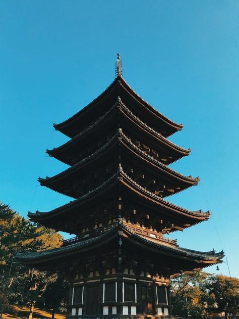 Top Five Most Beautiful Pagodas in Japan Travel Textiles, Japan Visit, Japan Nara, Nara Park, Travel Tricks, Nara Japan, Japan Itinerary, Visit Asia, Japan Travel Tips