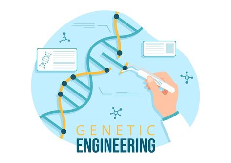 Genetic Engineering and DNA Modifications Illustration with Genetics Research or Experiment Scientists in Flat Cartoon Hand Drawn Templates Recombinant Dna, Dna Technology, Genetic Engineering, Science Projects, Genetic, Scientists, Vision Board, Hand Drawn, How To Draw Hands