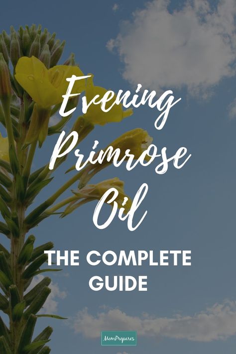 Complete Guide to Evening Primrose Oil (Benefits, Uses and Side Effects) Health Benefits Of Evening Primrose Oil, Evening Primrose Oil Benefits Hormones, Primrose Evening Oil Benefits, Evening Primrose Oil Dosage, Evening Primrose Benefits, Primrose Oil Benefits, Benefits Of Evening Primrose Oil, Rose Oil Benefits, Evening Primrose Oil Benefits