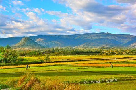 Our Town, Philippines, Natural Landmarks, Travel, Quick Saves, Nature