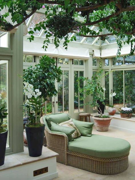 35+ Amazing conservatory greenhouse ideas for indoor-outdoor bliss Small Conservatory, Conservatory Interior, Conservatory Decor, Conservatory Greenhouse, Lots Of Plants, Indoor Greenhouse, Greenhouse Ideas, Home Greenhouse, Sunroom Designs