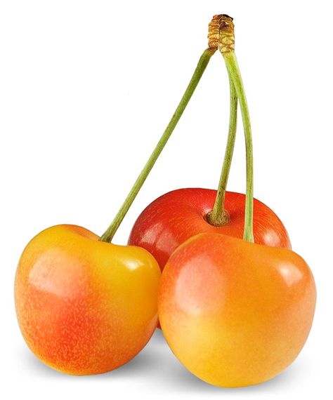 Types Of Cherries, Rainier Cherries, Portable Snacks, Cherry Recipes, Fruit Painting, Organic Produce, Eat Fruit, Stone Fruit, Summer Cocktails