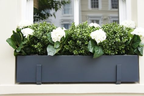 Window Box Plants, Plant Window, Window Box Flowers, Window Planters, Window Planter Boxes, Flower Window, Window Boxes, Wall Brackets, Window Box