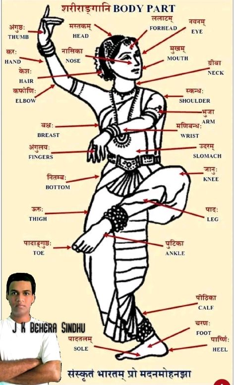 Body Parts Name, Yoga Sanskrit, Sanskrit Grammar, Body Name, Bharatanatyam Poses, Sanskrit Tattoo, Sanskrit Names, Sanskrit Language, Mantra For Good Health