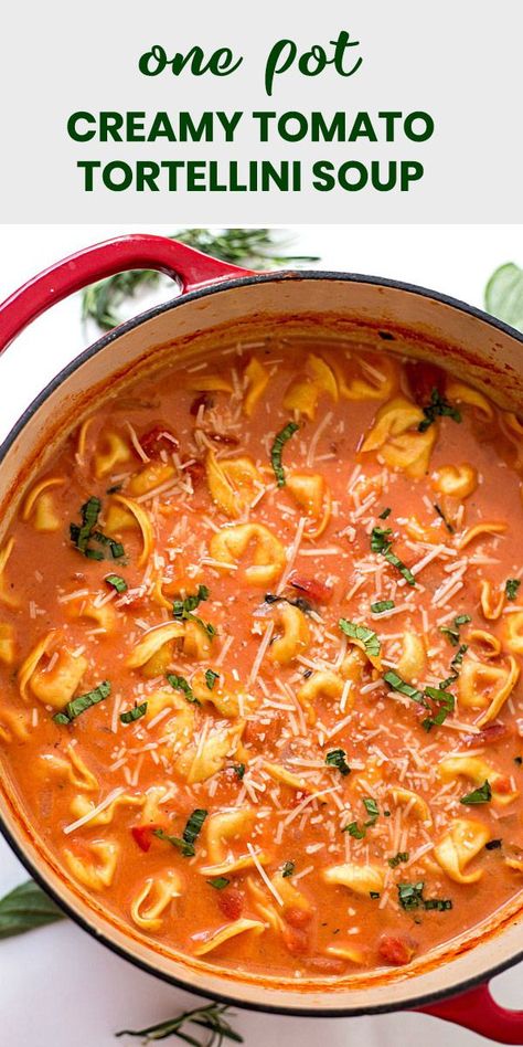 Creamy Tomato Tortellini Soup, Creamy Tomato Tortellini, Tomato Tortellini, Tomato Tortellini Soup, Tortellini Recipes, Tortellini Soup, Cheese Tortellini, Three Cheese, Diced Tomatoes