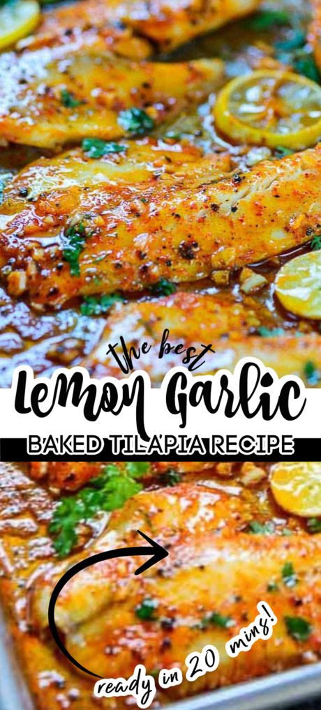 Lemon Garlic Tilapia, Tilapia Recipes Easy, Baked Tilapia Recipes, Garlic Baked, Tilapia Recipe, Baked Tilapia, Fish Dinner Recipes, Tilapia Recipes, Fish Recipes Healthy