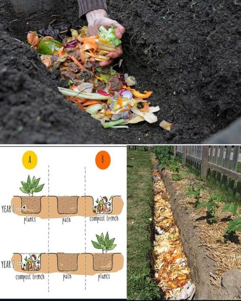 Composting Methods, Frame House, A Frame House, Composting, Permaculture, The Garden, The First, Plants, Frame